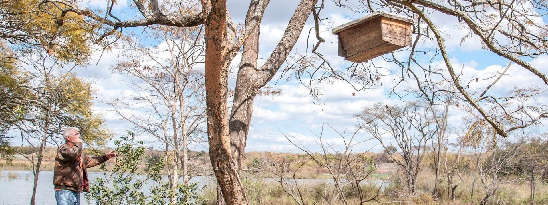 One LT15 Produces Timber for 50,000 Beehives in Zambia